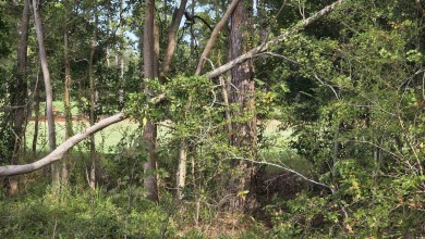Stunning 0.18-Acre Homesite in Myrtle Beach's Premier Golf on Wild Wing Plantation in South Carolina - for sale on GolfHomes.com, golf home, golf lot