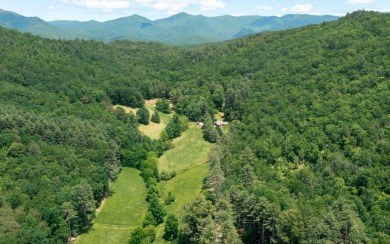 ABSOLUTELY PRIVATE CABIN ON 178 ACRE TRACT IN THE MOUNTAINS OF for sale on GolfHomes.com