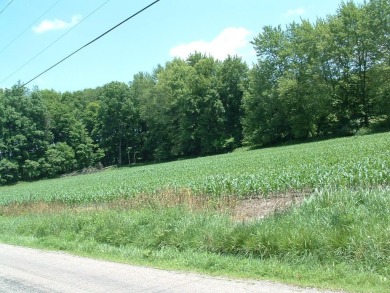 Over 1550 ft of road frontage with Woods, Farm Fields, a Pond on Clover Valley Golf Club in Ohio - for sale on GolfHomes.com, golf home, golf lot