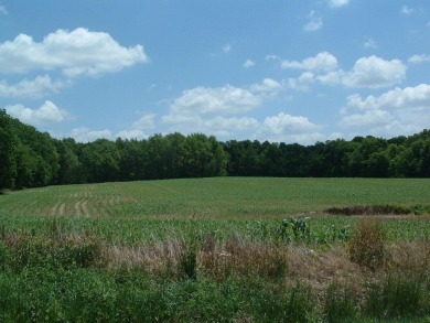 Over 1550 ft of road frontage with Woods, Farm Fields, a Pond on Clover Valley Golf Club in Ohio - for sale on GolfHomes.com, golf home, golf lot