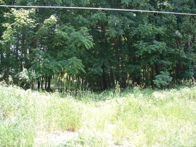Over 1550 ft of road frontage with Woods, Farm Fields, a Pond on Clover Valley Golf Club in Ohio - for sale on GolfHomes.com, golf home, golf lot