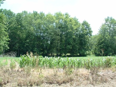 Over 1550 ft of road frontage with Woods, Farm Fields, a Pond on Clover Valley Golf Club in Ohio - for sale on GolfHomes.com, golf home, golf lot