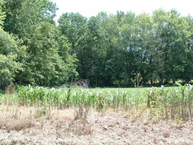 Over 1550 ft of road frontage with Woods, Farm Fields, a Pond on Clover Valley Golf Club in Ohio - for sale on GolfHomes.com, golf home, golf lot