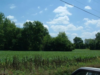 Over 1550 ft of road frontage with Woods, Farm Fields, a Pond on Clover Valley Golf Club in Ohio - for sale on GolfHomes.com, golf home, golf lot