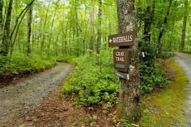 Enjoy nearly three acres and a private, peaceful setting for on Natures Walk At Chinquapin in North Carolina - for sale on GolfHomes.com, golf home, golf lot