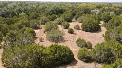 Amazing corner lot now available in the desirable White Bluff on White Bluff Resort - New Course in Texas - for sale on GolfHomes.com, golf home, golf lot