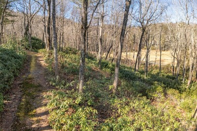 Nestled between the 5th green and the 6th tee, this 2.77-acre on Lake Toxaway Country Club in North Carolina - for sale on GolfHomes.com, golf home, golf lot