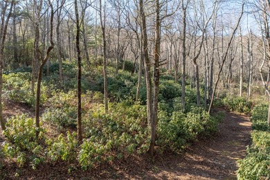 Nestled between the 5th green and the 6th tee, this 2.77-acre on Lake Toxaway Country Club in North Carolina - for sale on GolfHomes.com, golf home, golf lot