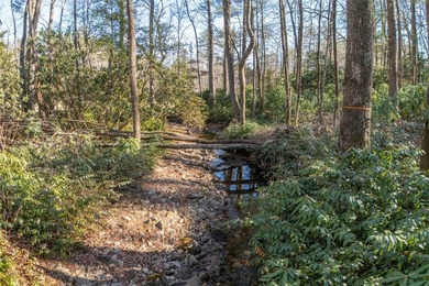 Nestled between the 5th green and the 6th tee, this 2.77-acre on Lake Toxaway Country Club in North Carolina - for sale on GolfHomes.com, golf home, golf lot