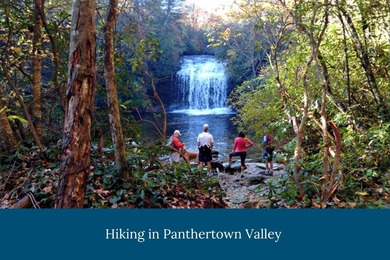 Nestled between the 5th green and the 6th tee, this 2.77-acre on Lake Toxaway Country Club in North Carolina - for sale on GolfHomes.com, golf home, golf lot