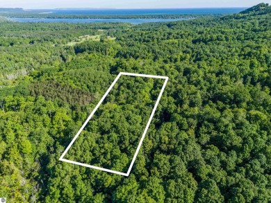 Tucked into the heart of Leelanau County, this beautifully treed on Manitou Passage Golf Club in Michigan - for sale on GolfHomes.com, golf home, golf lot