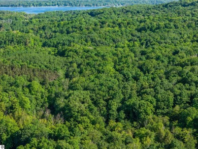 Tucked into the heart of Leelanau County, this beautifully treed on Manitou Passage Golf Club in Michigan - for sale on GolfHomes.com, golf home, golf lot