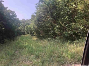 Affordable Lot close to Crown lake and Box Hound Marina , Here on The Course At Turkey Mountain in Arkansas - for sale on GolfHomes.com, golf home, golf lot