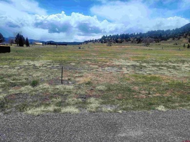 Connie Goodnight, Land Properties, LLC, C: , connie,  : on Rio Grande Golf Club in Colorado - for sale on GolfHomes.com, golf home, golf lot