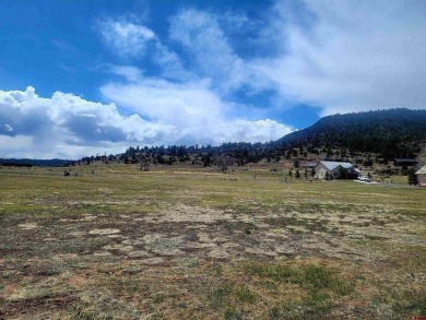 Connie Goodnight, Land Properties, LLC, C: , connie,  : on Rio Grande Golf Club in Colorado - for sale on GolfHomes.com, golf home, golf lot