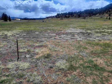 Connie Goodnight, Land Properties, LLC, C: , connie,  : on Rio Grande Golf Club in Colorado - for sale on GolfHomes.com, golf home, golf lot