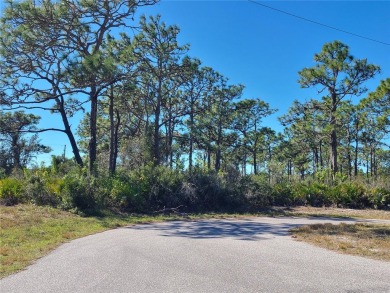 JUST REDUCED $3,000.  SELLER MOTIVATED. WILL ENTERTAIN ALL on Rotonda Golf and Country Club The Links Course in Florida - for sale on GolfHomes.com, golf home, golf lot