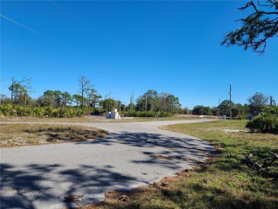 JUST REDUCED $3,000.  SELLER MOTIVATED. WILL ENTERTAIN ALL on Rotonda Golf and Country Club The Links Course in Florida - for sale on GolfHomes.com, golf home, golf lot