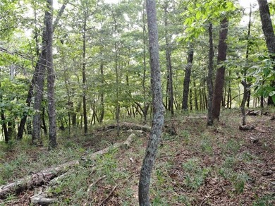 PRICE REDUCTION: #3005 is the last remaining building lot on on Big Canoe Golf Club - Cherokee in Georgia - for sale on GolfHomes.com, golf home, golf lot