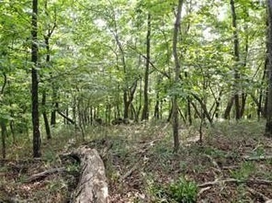 PRICE REDUCTION: #3005 is the last remaining building lot on on Big Canoe Golf Club - Cherokee in Georgia - for sale on GolfHomes.com, golf home, golf lot