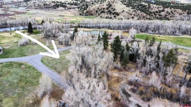 Dee Plucinski, Steffens and Company Realty, Inc, C: , dee,  : on Rio Grande Golf Club in Colorado - for sale on GolfHomes.com, golf home, golf lot