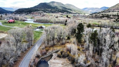 Dee Plucinski, Steffens and Company Realty, Inc, C: , dee,  : on Rio Grande Golf Club in Colorado - for sale on GolfHomes.com, golf home, golf lot