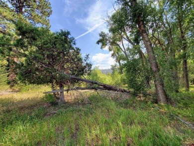 Dee Plucinski, Steffens and Company Realty, Inc, C: , dee,  : on Rio Grande Golf Club in Colorado - for sale on GolfHomes.com, golf home, golf lot