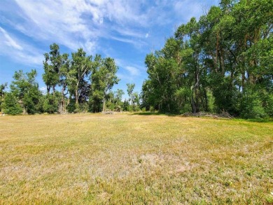 Dee Plucinski, Steffens and Company Realty, Inc, C: , dee,  : on Rio Grande Golf Club in Colorado - for sale on GolfHomes.com, golf home, golf lot