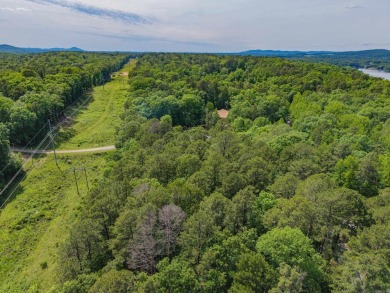 Here's an amazing opportunity to own a large lot - over 1.7 on Diamondhead Golf and Country Club in Arkansas - for sale on GolfHomes.com, golf home, golf lot