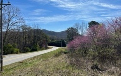 Gentle wooded lot with no restrictions, with easy access off on Old Union Golf Course in Georgia - for sale on GolfHomes.com, golf home, golf lot
