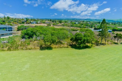 Build Your Dream Home on the Golf Course in Discovery Harbour! on Discovery Harbour Golf Course in Hawaii - for sale on GolfHomes.com, golf home, golf lot