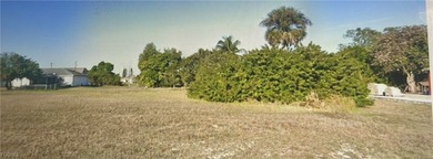 Beautiful oversized lot For Sale located in Cape Coral, Florida! on Del Tura Golf and Country Club in Florida - for sale on GolfHomes.com, golf home, golf lot