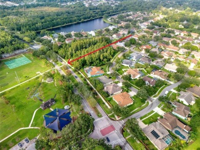 6.375% PAR Interest Rate Available!  Gorgeous Westchase Home on Westchase Golf Club in Florida - for sale on GolfHomes.com, golf home, golf lot