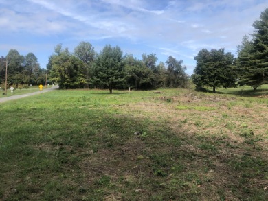 What a birdie of an opportunity!!  Investors, developers on Johnson City Country Club in Tennessee - for sale on GolfHomes.com, golf home, golf lot