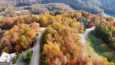 Exceptional View Lot in Waterfall at Lake Burton    Perched high on Waterfall Country Club in Georgia - for sale on GolfHomes.com, golf home, golf lot