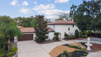 Mediterranean Revival Estate with NEW Custom Pool in Temple on Temple Terrace Golf and Country Club in Florida - for sale on GolfHomes.com, golf home, golf lot
