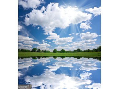 Introducing an exceptional new construction home in the on Harbor Club Golf and Country Club in Georgia - for sale on GolfHomes.com, golf home, golf lot