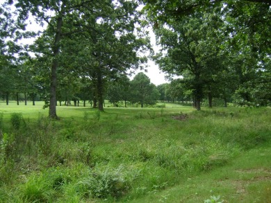 GOLF COURSE house with a great view of the course and club house on The Course At Turkey Mountain in Arkansas - for sale on GolfHomes.com, golf home, golf lot