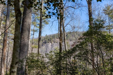 Located at the end of a quiet cul-de-sac, this 2.57-acre lot in on Natures Walk At Chinquapin in North Carolina - for sale on GolfHomes.com, golf home, golf lot