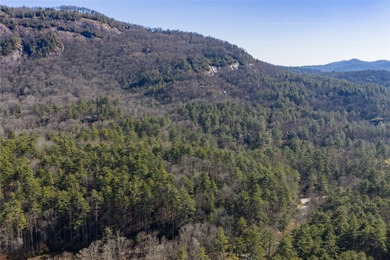 Located at the end of a quiet cul-de-sac, this 2.57-acre lot in on Natures Walk At Chinquapin in North Carolina - for sale on GolfHomes.com, golf home, golf lot