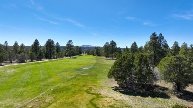 Chase K Girard, Ponderosa Real Estate The Source For Real Estate on The Divide Ranch and Club in Colorado - for sale on GolfHomes.com, golf home, golf lot