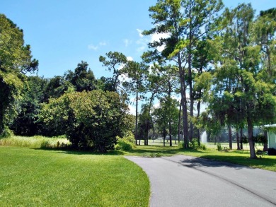 Rolling Greens Village is a friendly resort-style 55+ community on Rolling Greens Executive Golf Community in Florida - for sale on GolfHomes.com, golf home, golf lot