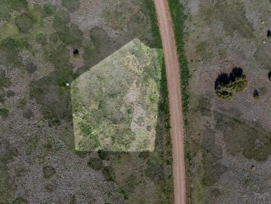 This Lot is perfect for those who are wanting to build their on Hollydot Golf Course in Colorado - for sale on GolfHomes.com, golf home, golf lot