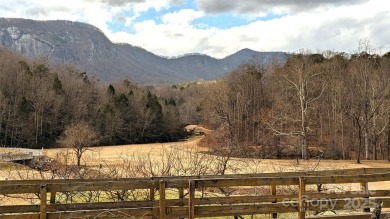 Affordable Lakefront 1.07 Acre Lot in Lake Lure NC, Gorgeous on Rumbling Bald Resort on Lake Lure in North Carolina - for sale on GolfHomes.com, golf home, golf lot