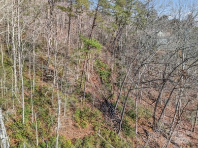 Affordable Lakefront 1.07 Acre Lot in Lake Lure NC, Gorgeous on Rumbling Bald Resort on Lake Lure in North Carolina - for sale on GolfHomes.com, golf home, golf lot