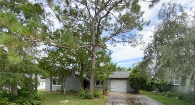 Welcome to 8804 Lincolnshire Dr, located in the heart of Beacon on Beacon Woods Golf Club in Florida - for sale on GolfHomes.com, golf home, golf lot