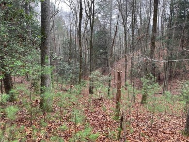 Beautiful sloped wooded lot in Buckhorn Estates that leans to on White Path Golf Club in Georgia - for sale on GolfHomes.com, golf home, golf lot