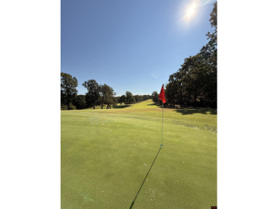 Golf Lover's Dream! Step into this impeccably maintained on Cherokee Village South Course in Arkansas - for sale on GolfHomes.com, golf home, golf lot