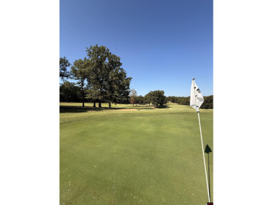 Golf Lover's Dream! Step into this impeccably maintained on Cherokee Village South Course in Arkansas - for sale on GolfHomes.com, golf home, golf lot