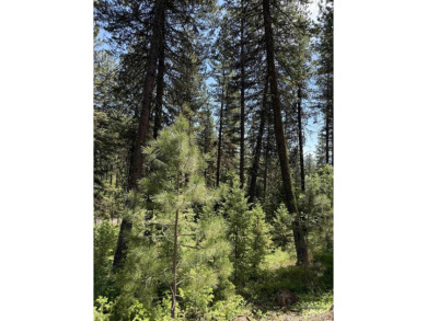 Timbered building lot in MeadowCreek Golf Resort. Located off of on Meadowcreek Golf Resort in Idaho - for sale on GolfHomes.com, golf home, golf lot